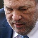 하비시앙 이미지