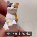 방진이 이거 개귀엽다 이미지