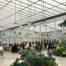 순이하우스 | 목동 현대백화점 크리스마스 트리 7층 보타닉하우스 방문 생생후기❤️