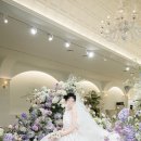 대구 가성비 본식스냅 추천｜라테라스 신부의 파피루스 계약 후기