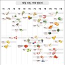 제일야채과일
