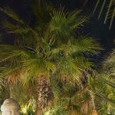 대정게스트하우스 이미지