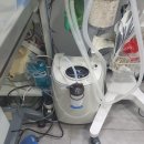 CH동물병원 이미지