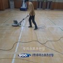 동화체육관 이미지