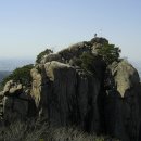 향-고향의 봄 이미지