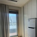 울릉푸른나무 이미지