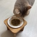 나우치킨 | [협찬] 나우 굿그레이비 치킨레시피 체험단 후기
