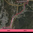 2024 대청호 벚꽃길 마라톤 대회 이미지