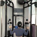 엑스바디 이미지