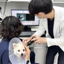 동탄원더스동물의료센터 이미지