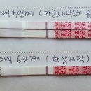 포도알약국 이미지