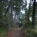 고내마을 이미지