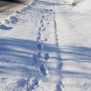 공음보건지소 이미지