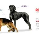 브리더클럽 이미지