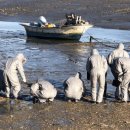 중리어촌체험휴양마을 이미지