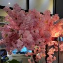 경더기 파스타 이미지