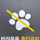 디자인몰 이미지