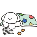 카페 C17 네이버블로그