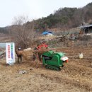 거창 목재 이미지