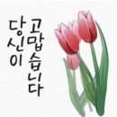 과일인생