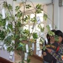 함창중앙초등학교 이미지