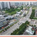 세교동 사거리 이미지