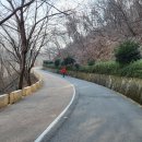 구산초등학교 이미지