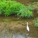 정관 구목정공원 이미지