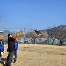 조류보호협회 밀양시지회 경남도민신문