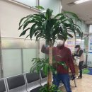 농협관악지점 이미지