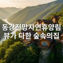 동강전망자연휴양림 | 영월 동강전망자연휴양림 예약, 뷰가 다한 숲속의집