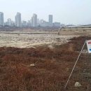 세종보 입구 이미지