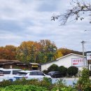 영천닭칼국수 | 경북 영천 임고서원 근처 닭불고기 칼국수 맛집 영천새우칼국수