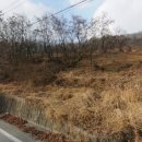 당목리목장 이미지