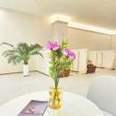 대전진선메디칼 이미지