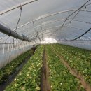 재모농장 이미지