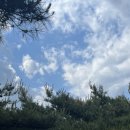 돌산신발