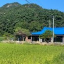 한시랑 스테이 이미지