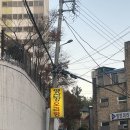 영산강오리탕 이미지