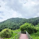 생곡리 피리골 저수지 | 강원도 홍천 가볼만한곳 서석면 생곡 피리골 저수지 둘레길 차박