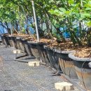 정열농장 이미지