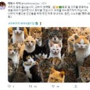칠점지 이미지