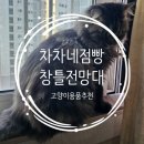 고양이 쉼터 | 차차네점빵 창틀전망대 설치 후기 고양이가 가장 좋아하는 창가 쉼터 고양이용품추천