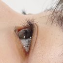 래쉬밍 - 제주시 | 래쉬밍