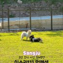 이소리111 멍펜션 이미지