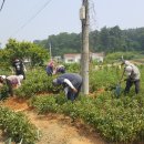 중부흥 뉴스웨이브