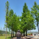 패랭이공원 내 | [국내] 남원 전주 2박 3일 여행 첫째날_광한루원, 남원다움관, 춘향테마파크, 남원항공우주천문대, 남원...