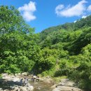 신대계곡: 울창한 숲과 맑은 계곡의 힐링 여행 이미지