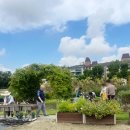 수원시농업기술센터 | 수원시 도시농업관리사 양성교육 견학 서울치유농업센터, 2025서울국제정원박람회