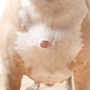 경주동물메디컬센터 이미지